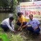 বোরহানউদ্দিনে বৃক্ষরোপন কর্মসূচী পালিত।। লালমোহন বিডিনিউজ