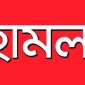 <small>জমি সংক্রান্ত বিরোধের জের</small> লালমোহনে প্রতিপক্ষের হামলায় বৃদ্ধ আহত।। লালমোহন বিডিনিউজ