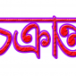 লালমোহনে প্রতিপক্ষের চক্রান্তের শিকার একটি পরিবার।।লালমোহন বিডিনিউজ